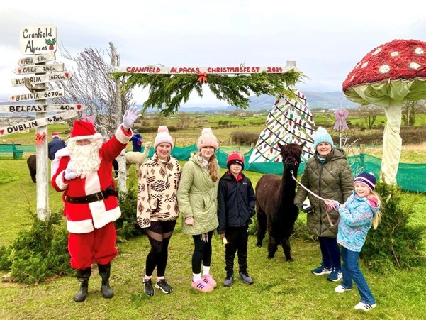 Cranfield Alpaca Christmasfest