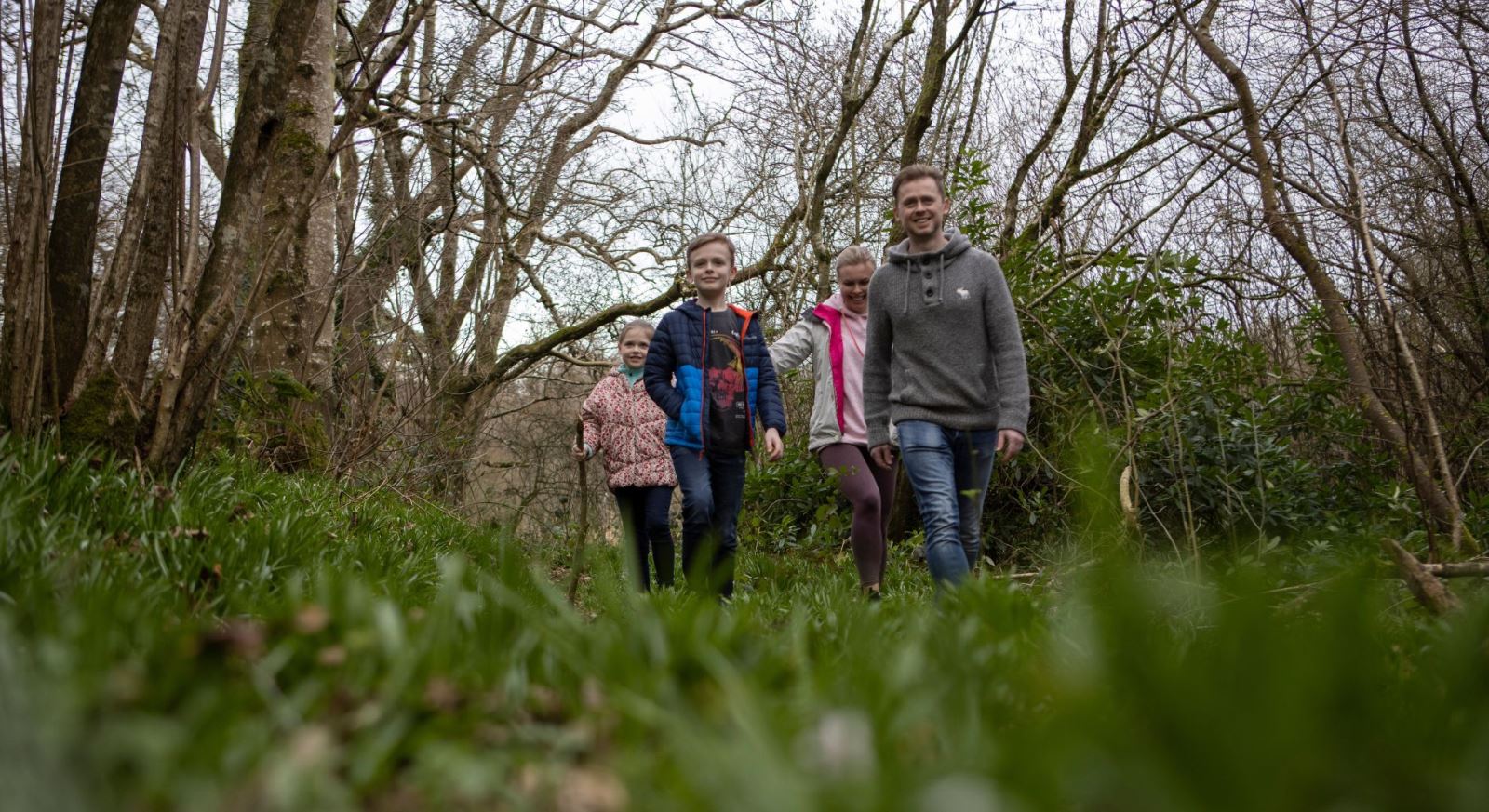 Finnebrogue Woods, Killyleagh