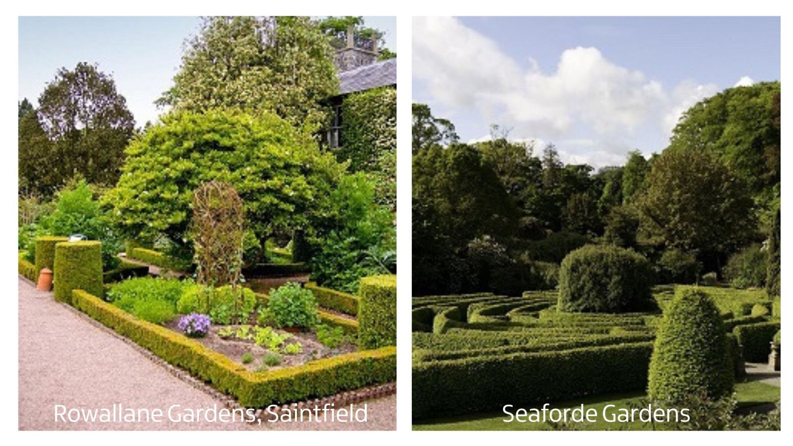 Rowallane Gardens, Saintfield & Seaforde Gardens
