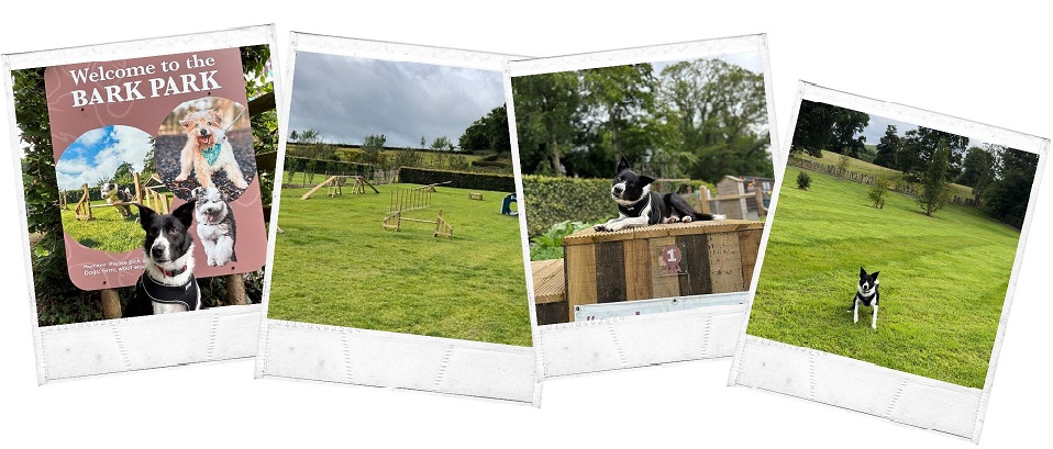 Montalto Estate, Ballynahinch